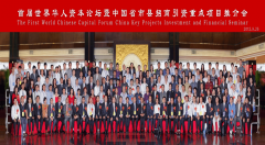 蒋泓峰：我所亲历的华人华侨取“反‘独’促统